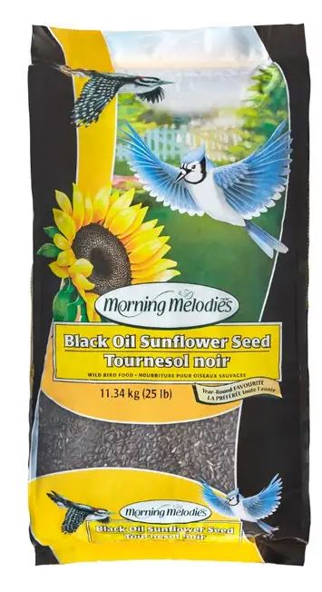 Morning Melodies Black Oil Sunflower 11.34kg